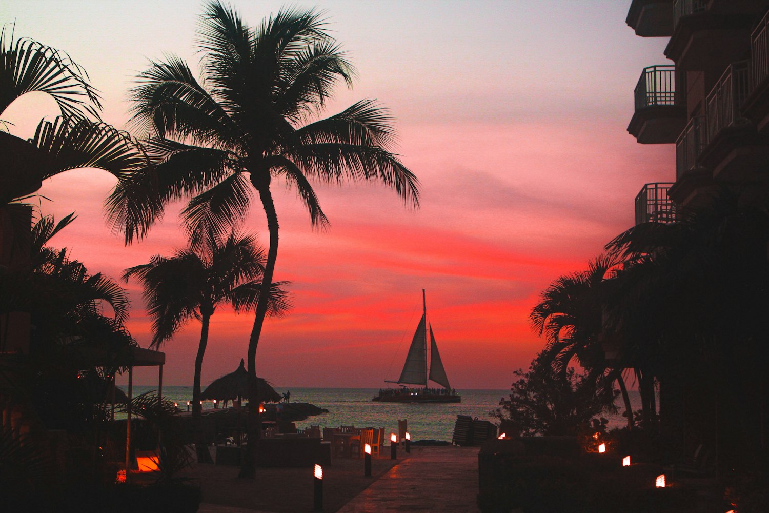 狗狗币最新价格动态及分析揭秘,实时价格与市场趋势探讨