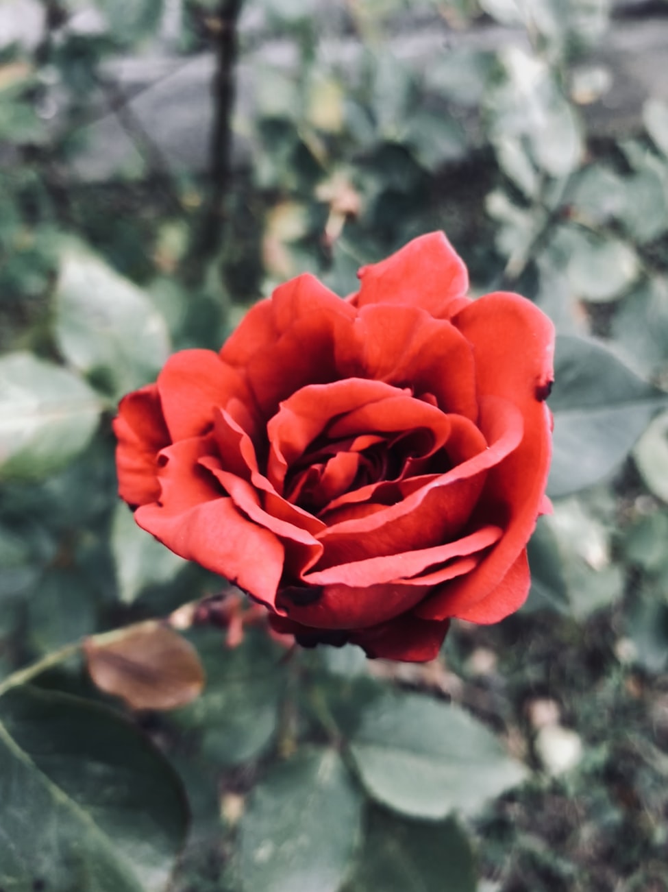 中印冲突最新动态深度分析与展望,2017年局势更新及未来展望