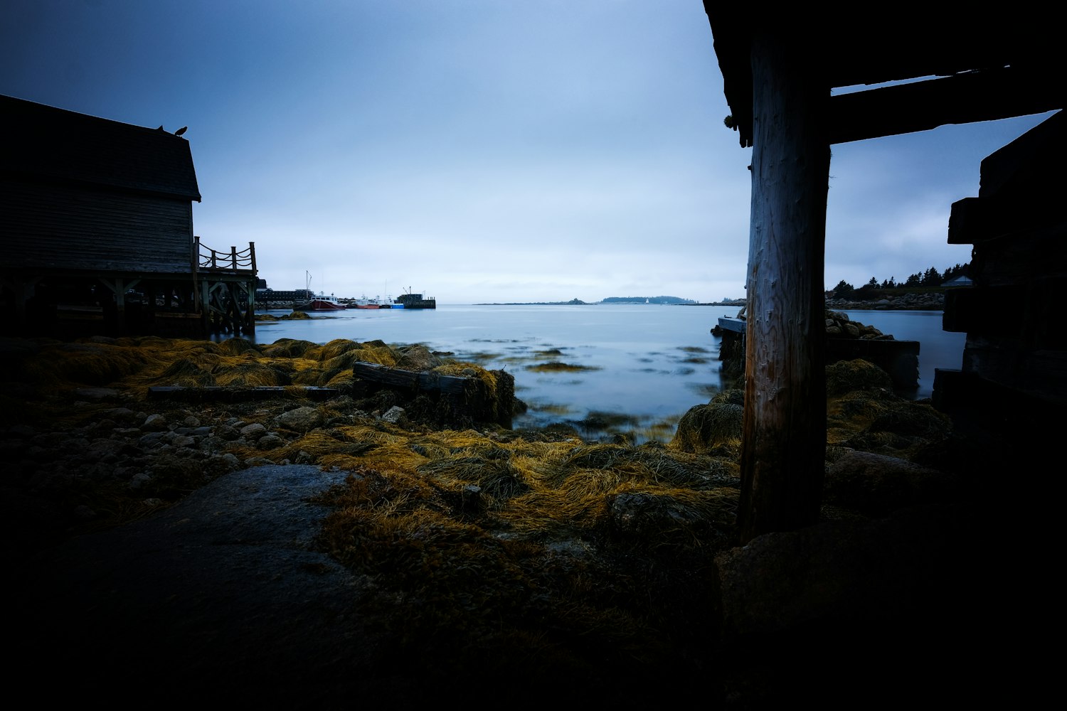 中原区冯湾村最新动态揭秘,蜕变中的乡村新面貌