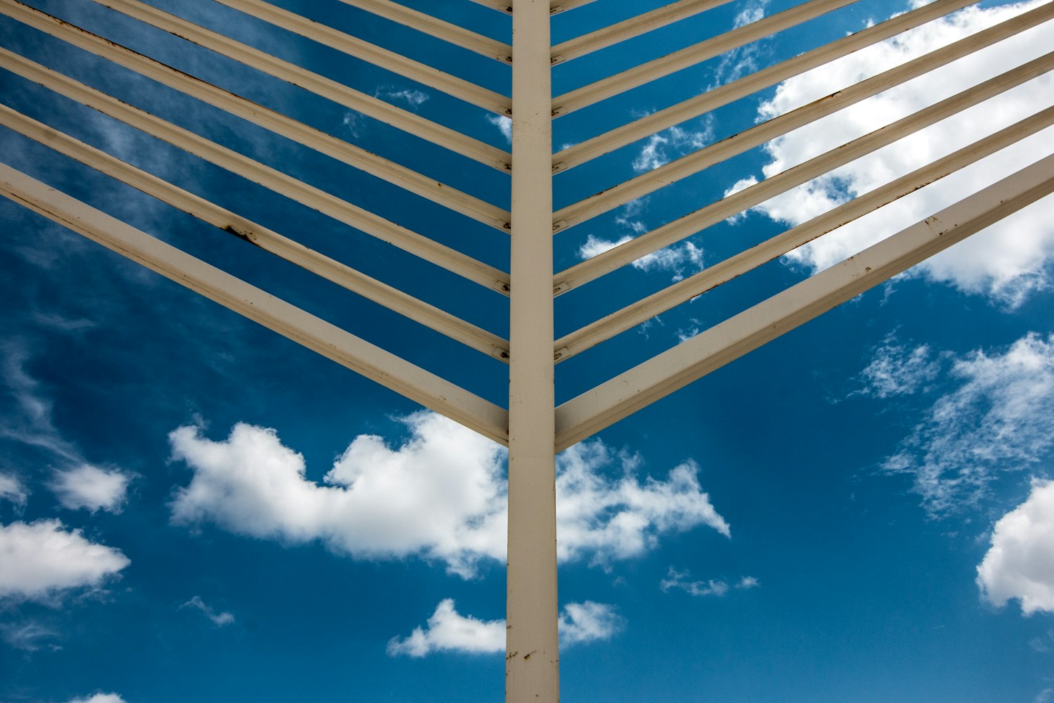 万马股份股票深度解析,探究内在动力与未来展望