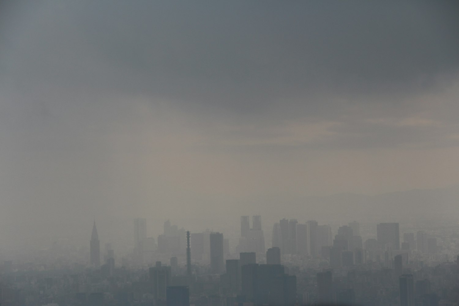 叶天南最新力作，探索未知领域的文学魅力之旅