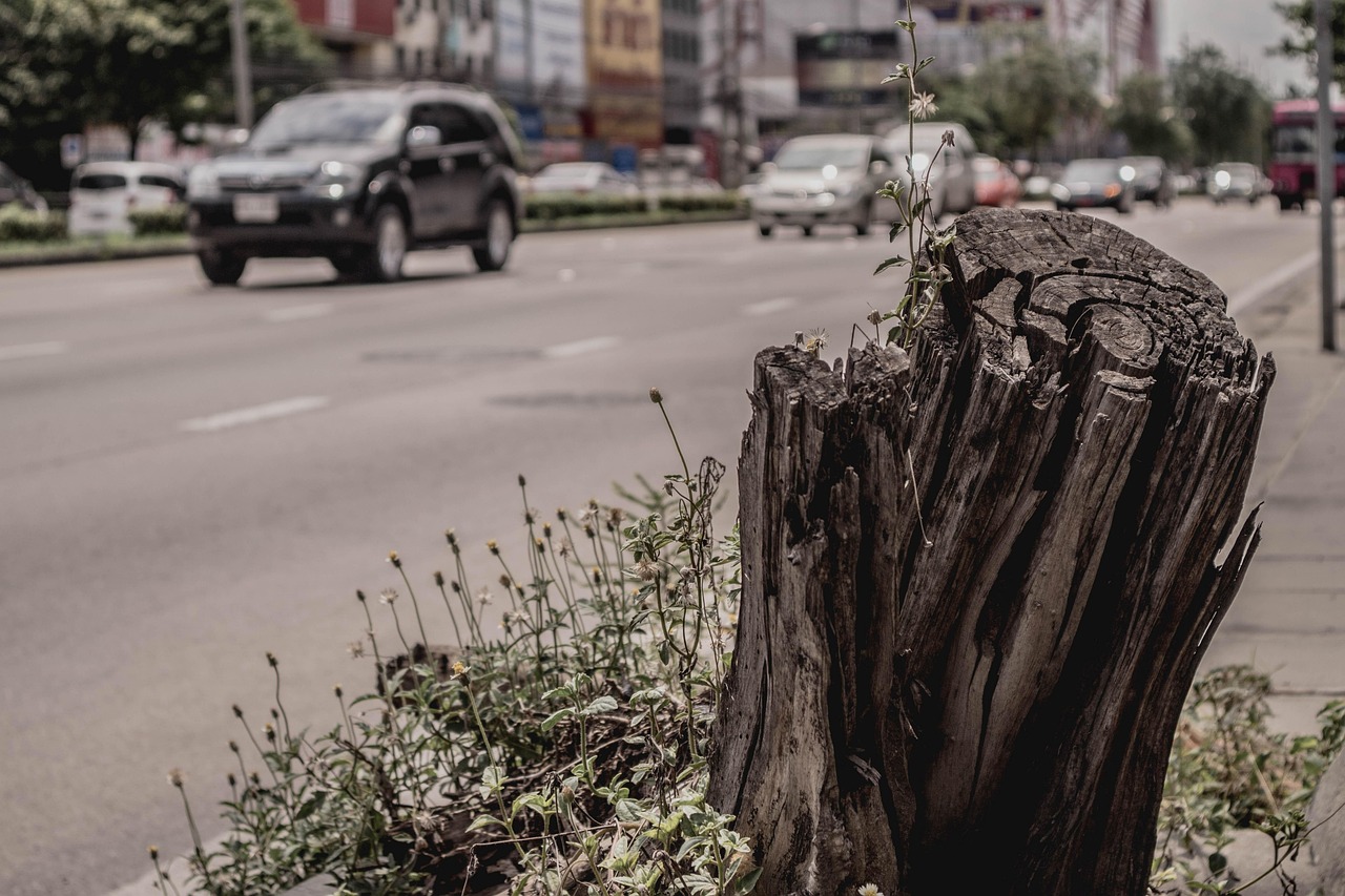 永济最新通告，城市发展的最新动态、未来展望与未来发展路径揭秘。
