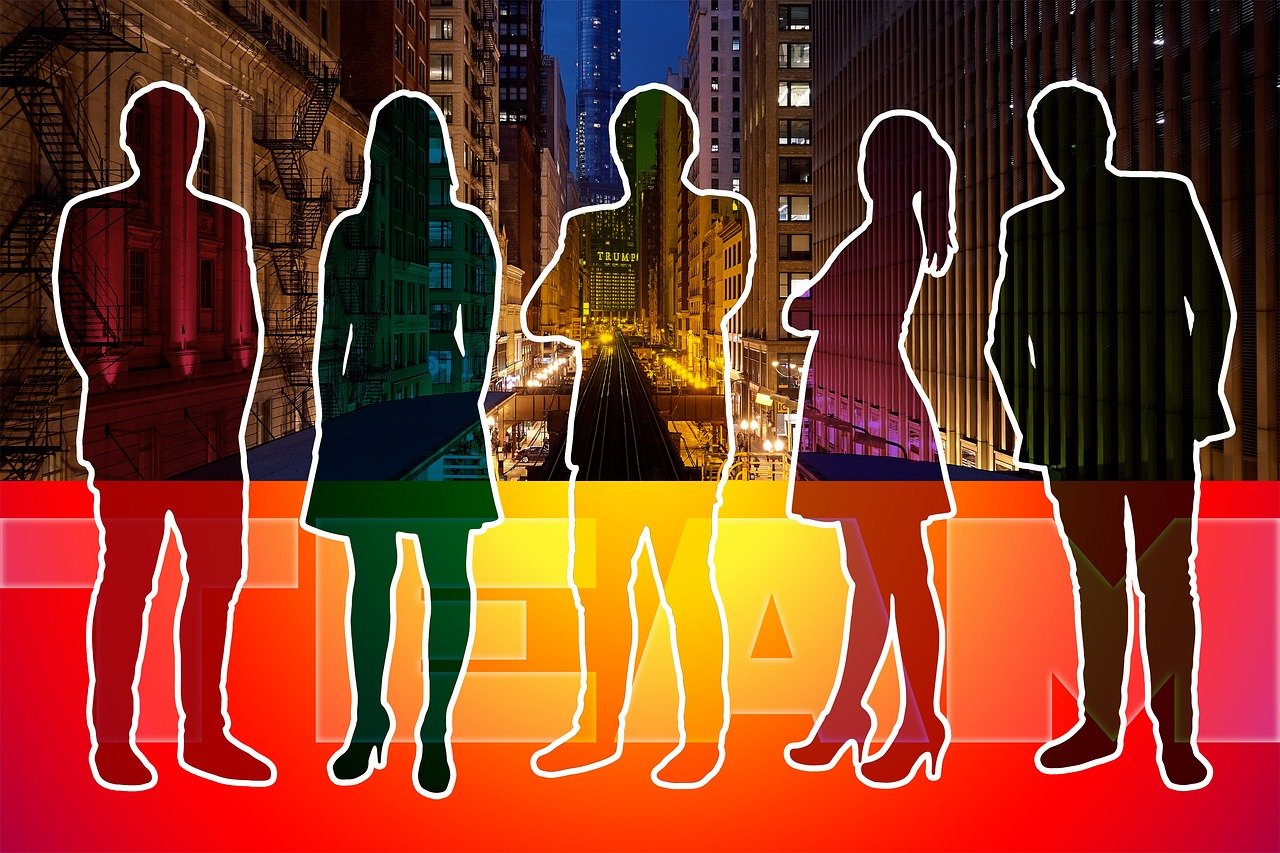 引领潮流的视听盛宴,最新视频大放送