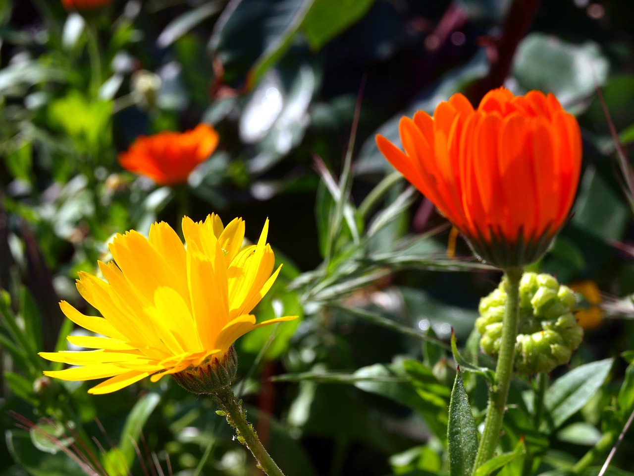 帕卡台风最新预测，动态分析、应对策略及实时更新信息