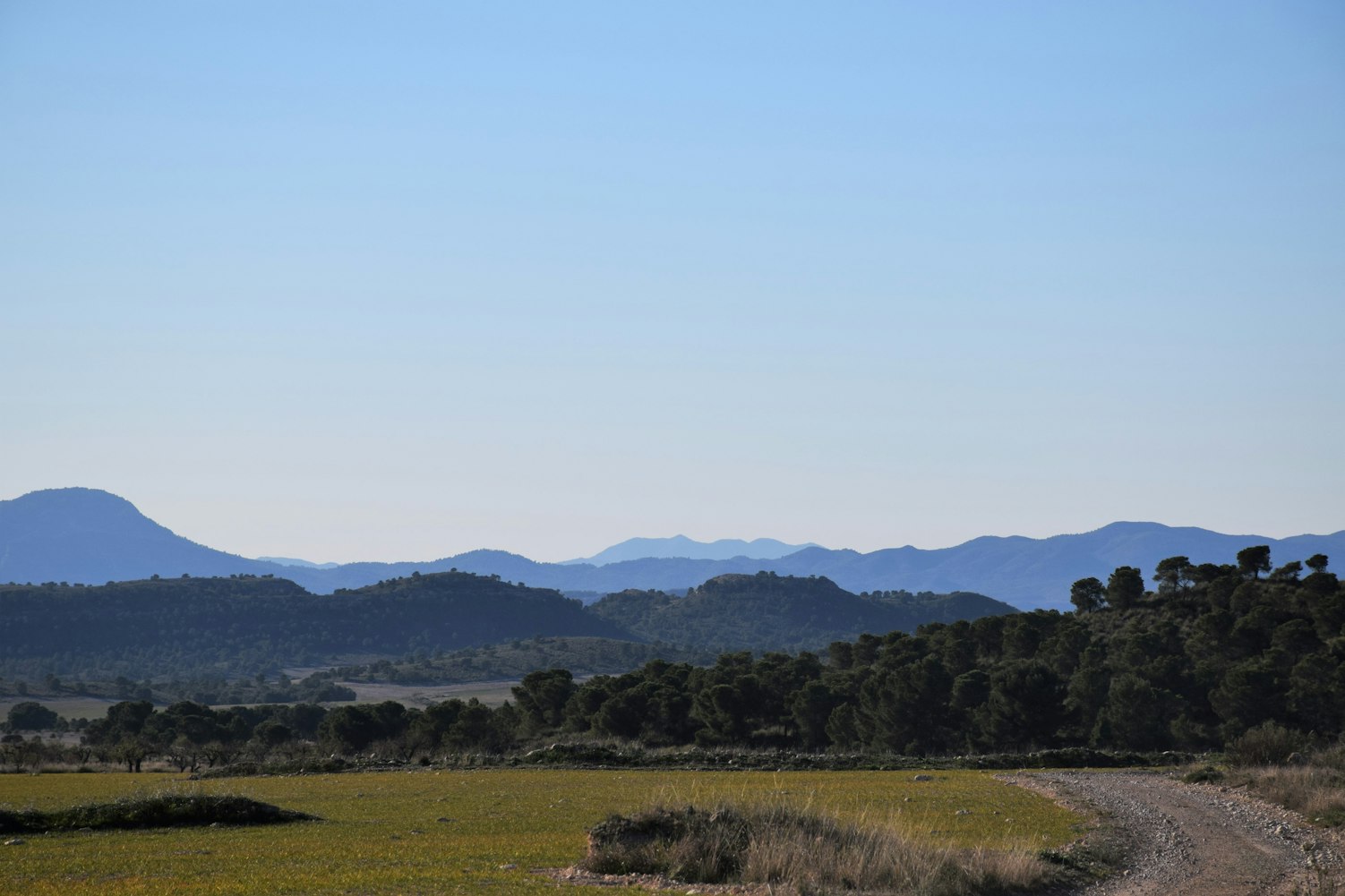 沽源新房推荐,理想居住的优选之地