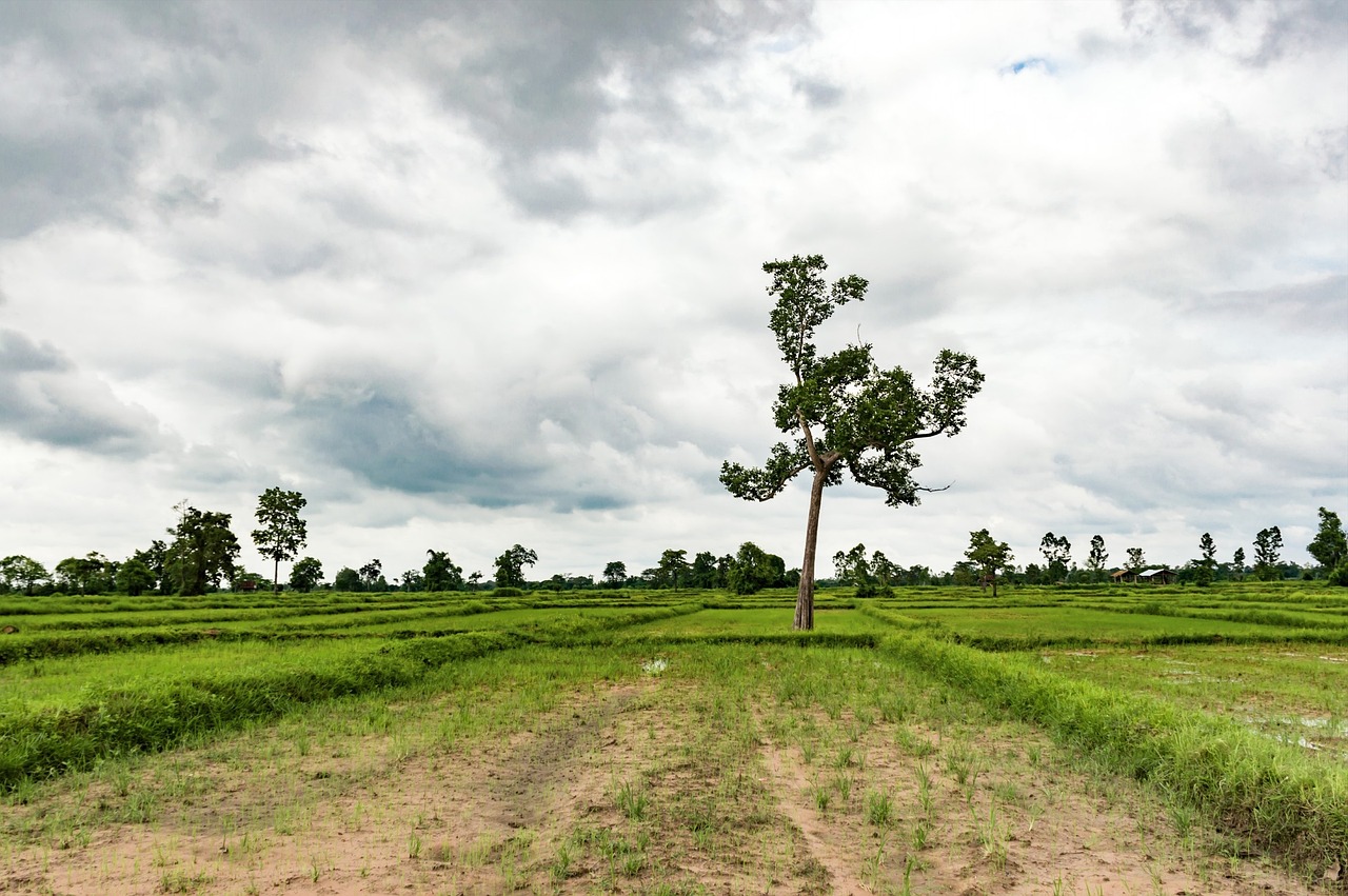 庄园新模式,重塑农业生态与体验的革命性变革