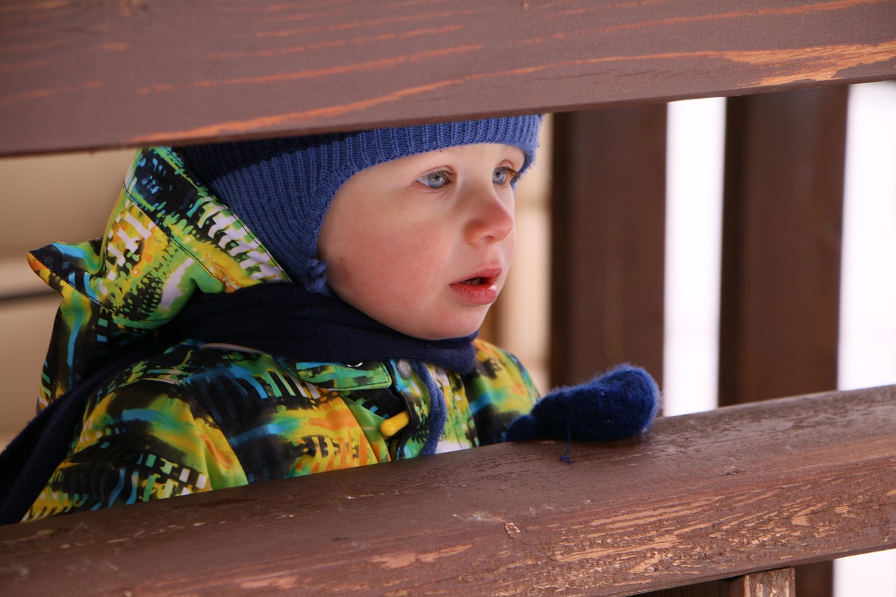 鲜香菇价格行情近五天的动态分析与趋势预测