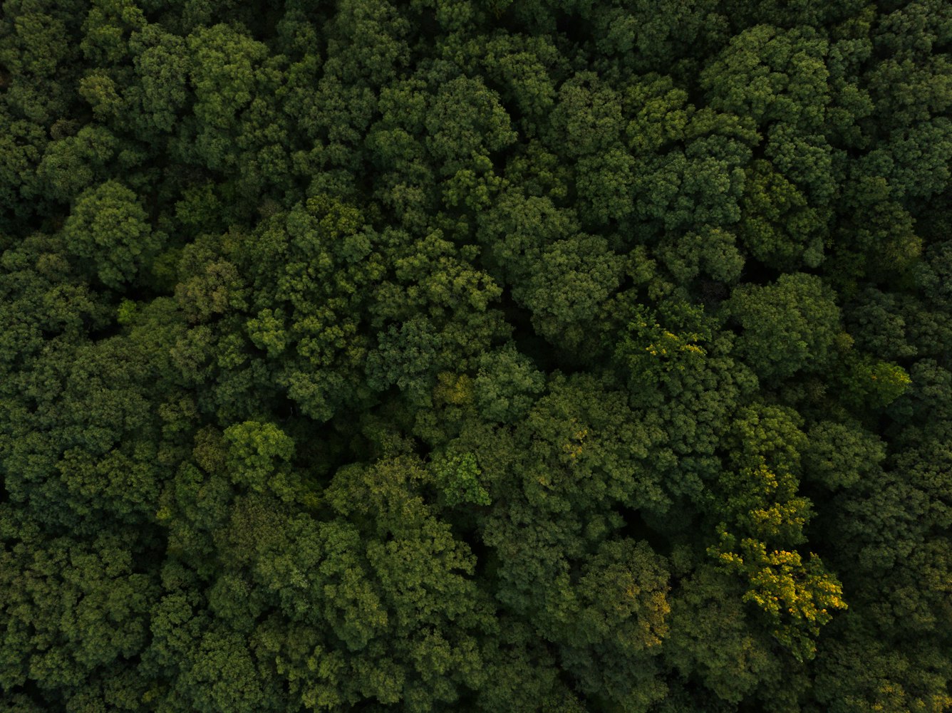 南航动态资讯,探索前沿科技,引领航空未来之路