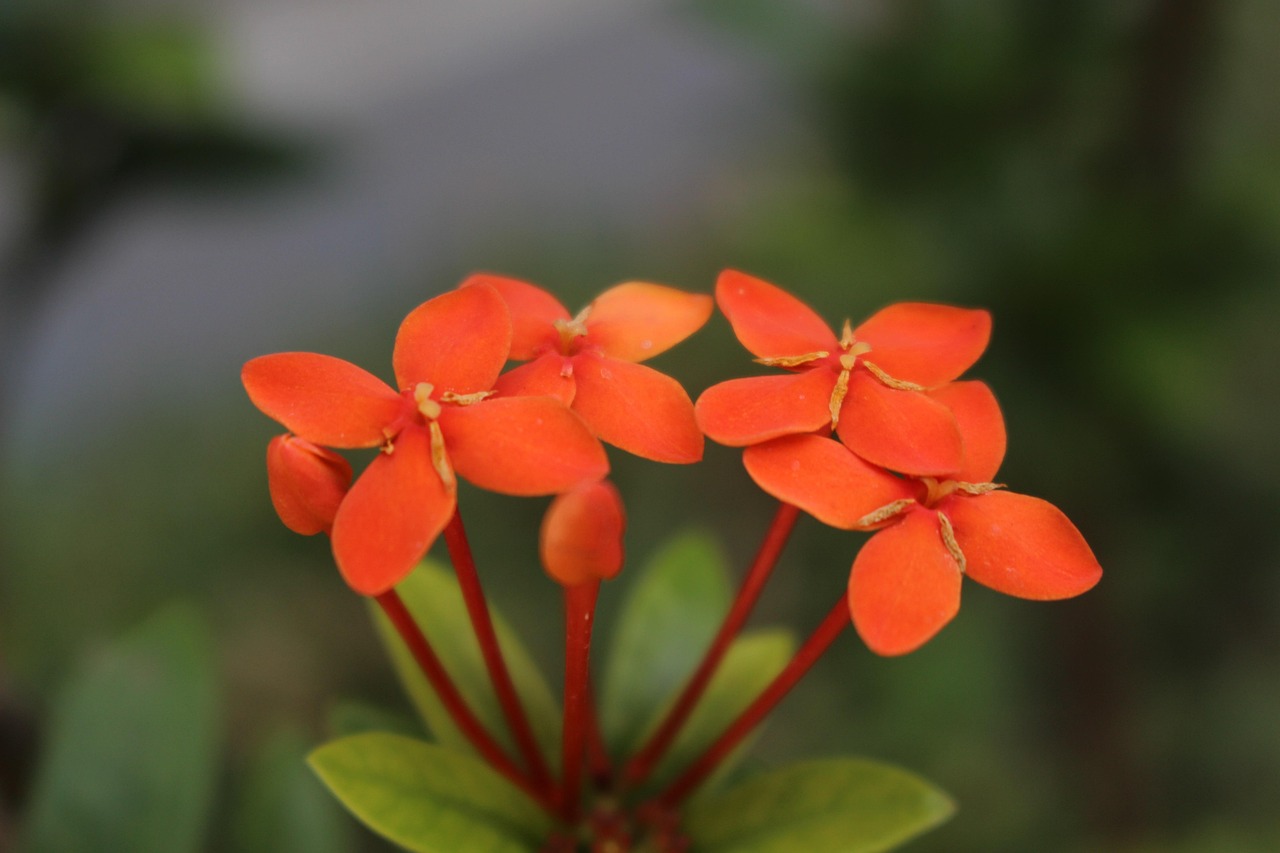 中国环境最新动态,坚定迈向绿色发展的步伐