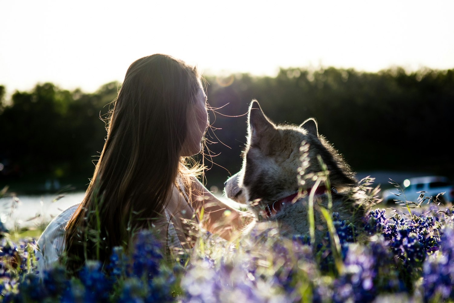 影视艺术魅力探索之旅,电影之旅开启!