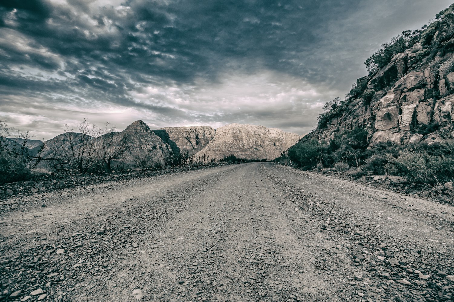 草留资讯,探索自然与人类生活的交融之道