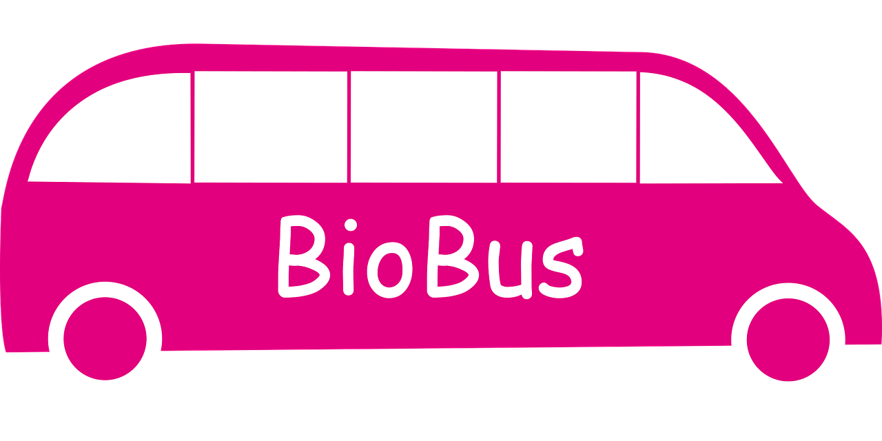 最新秦岭动态,生态保护的前沿探索与可持续发展之路