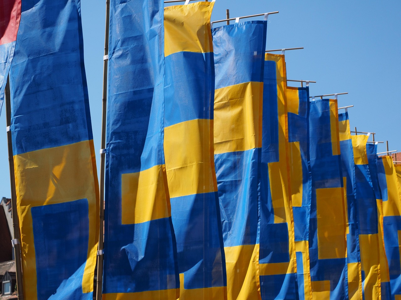 商水最新资讯概览，时事动态一网打尽