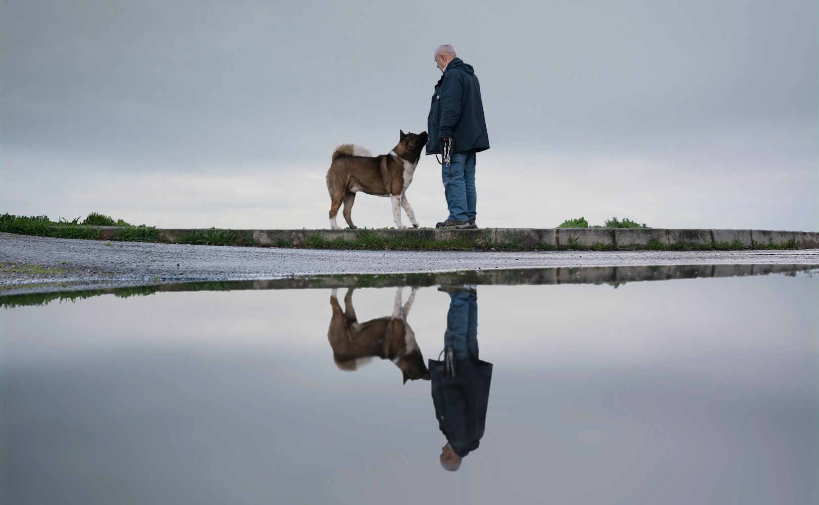 春心荡漾电影,情感与视觉的绝美交融
