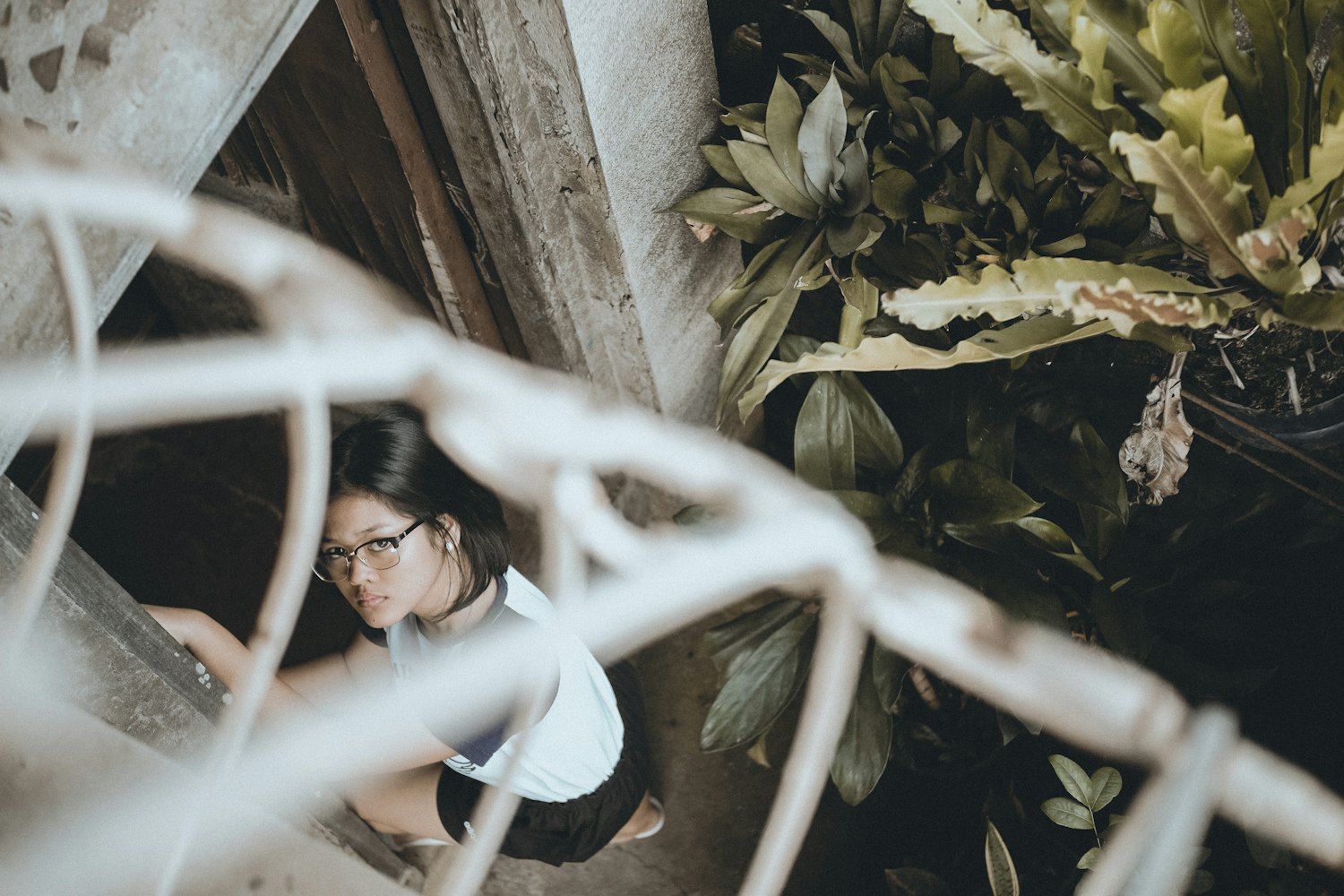 天津宁河最新发展动态及前景展望