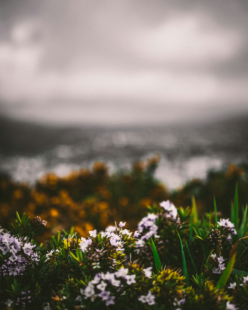 青云润景最新资讯，深度解读与发展动态