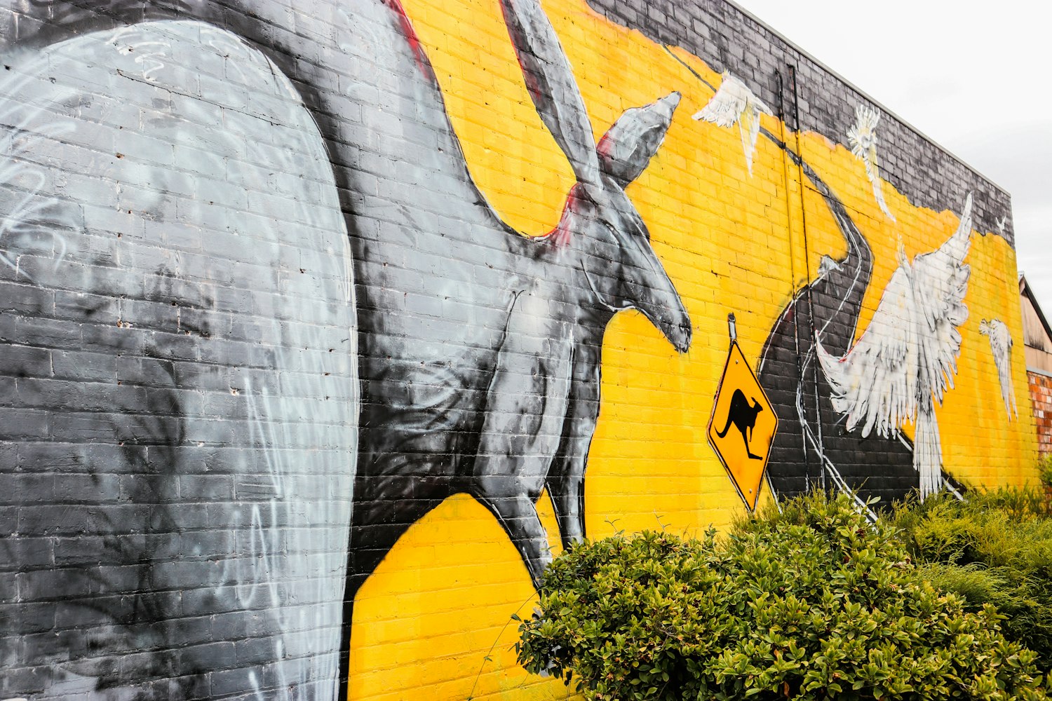 花火最新作品揭秘,艺术的无限魅力与创意灵感探索