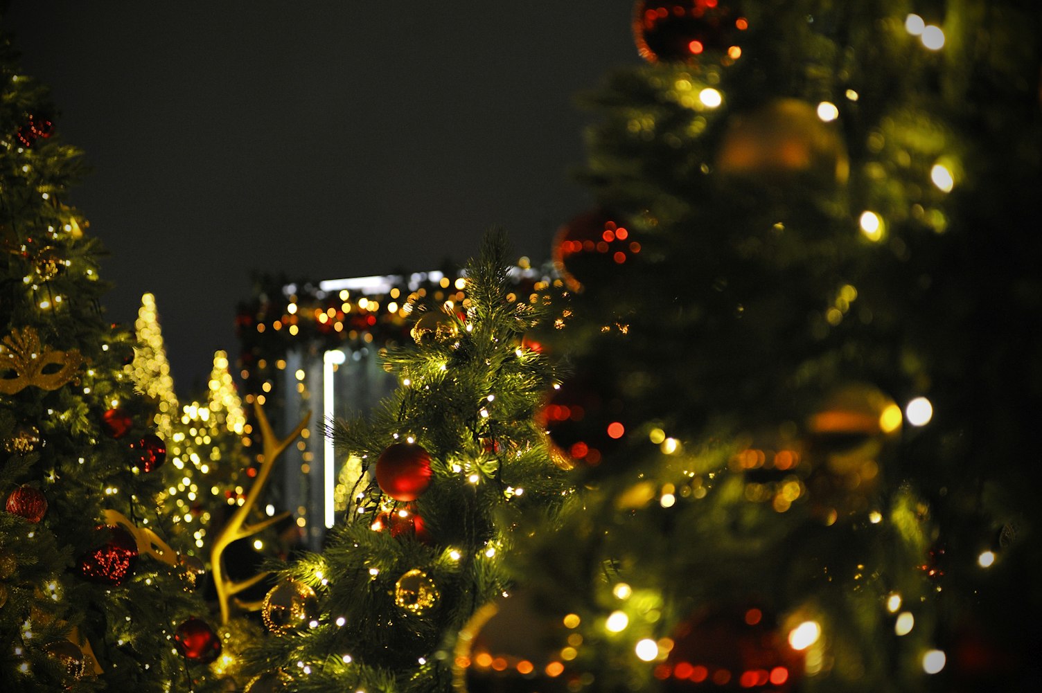 花火最新作品揭秘,艺术的无限魅力与创意灵感探索