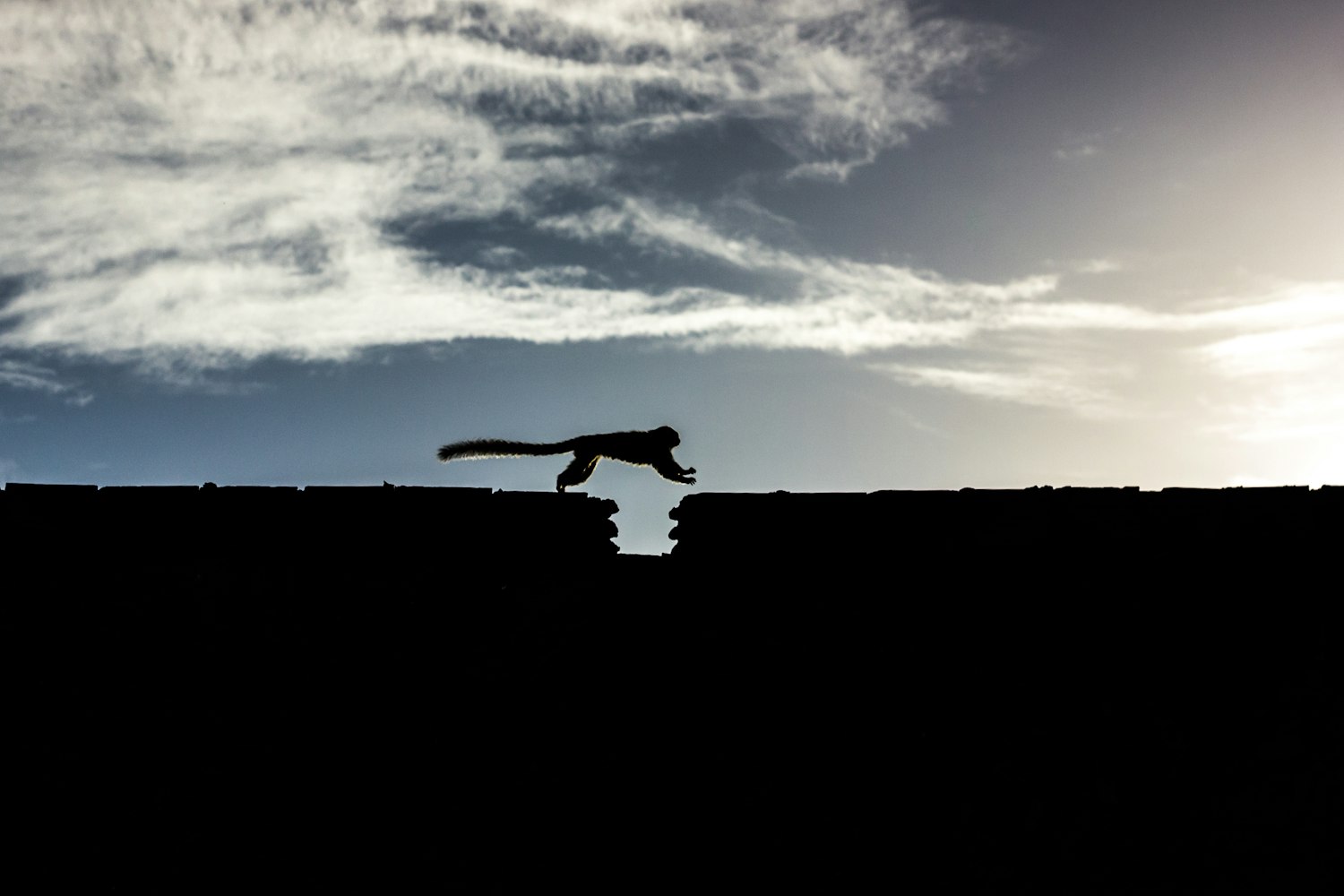 滚开新作发布，探索文学领域的未知之旅