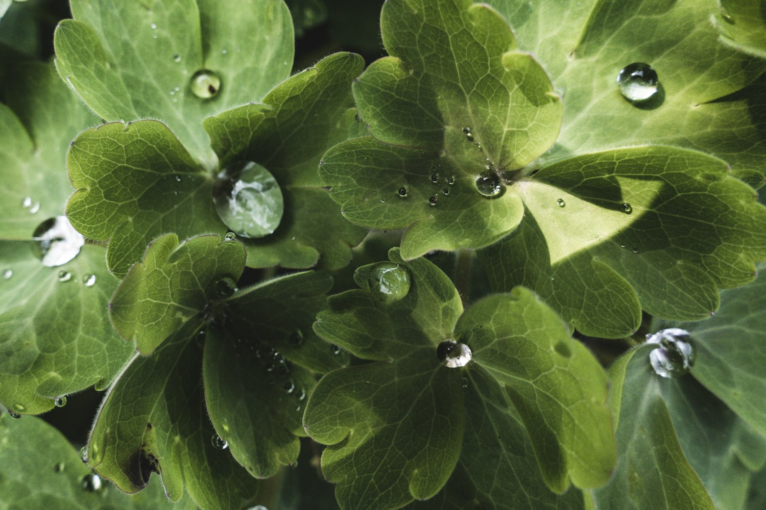 婚订资讯速递，探索现代婚礼最新动态与必备知识