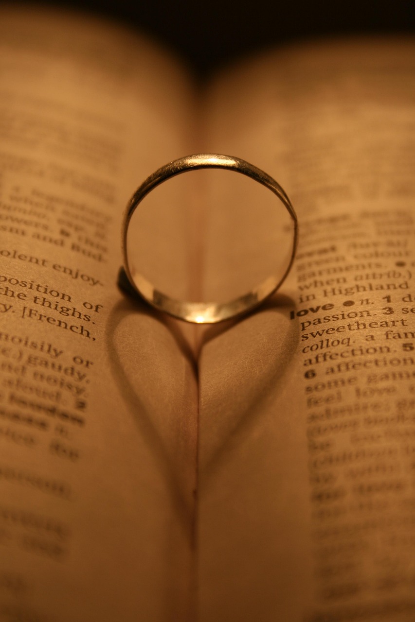 程序员那么可爱,数字时代的浪漫与激情探索免费观看电视剧