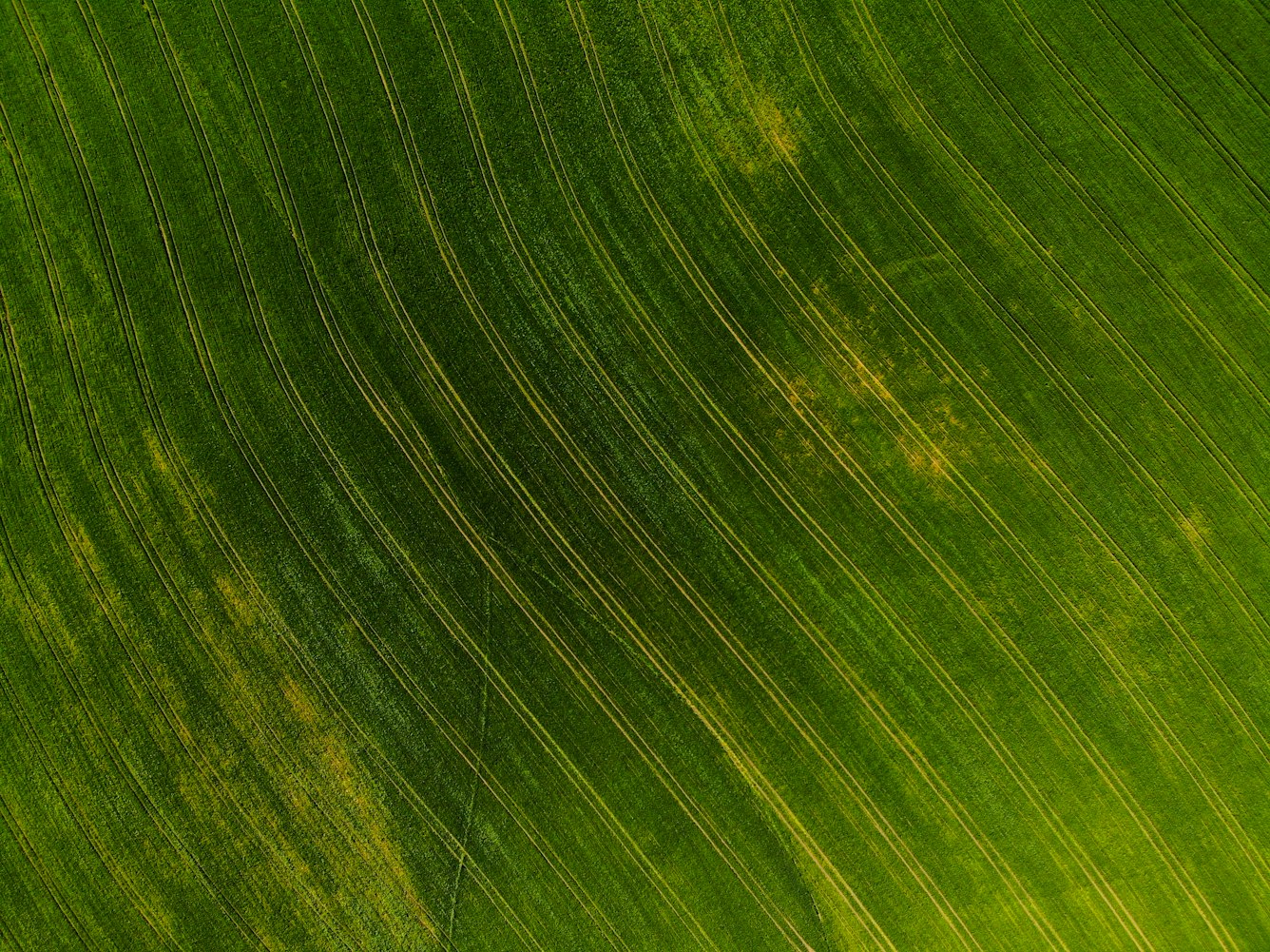 草地球比赛，激情与策略的碰撞对决时刻