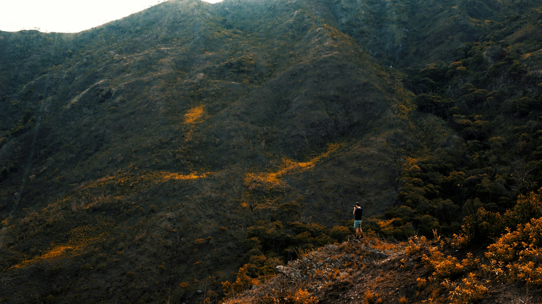 揭秘捣蛋鹅奇妙冒险之旅的最新动态