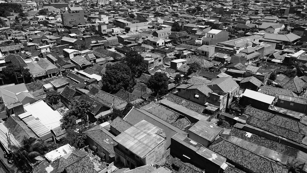 台湾新动态的变迁与发展,小明的关注点