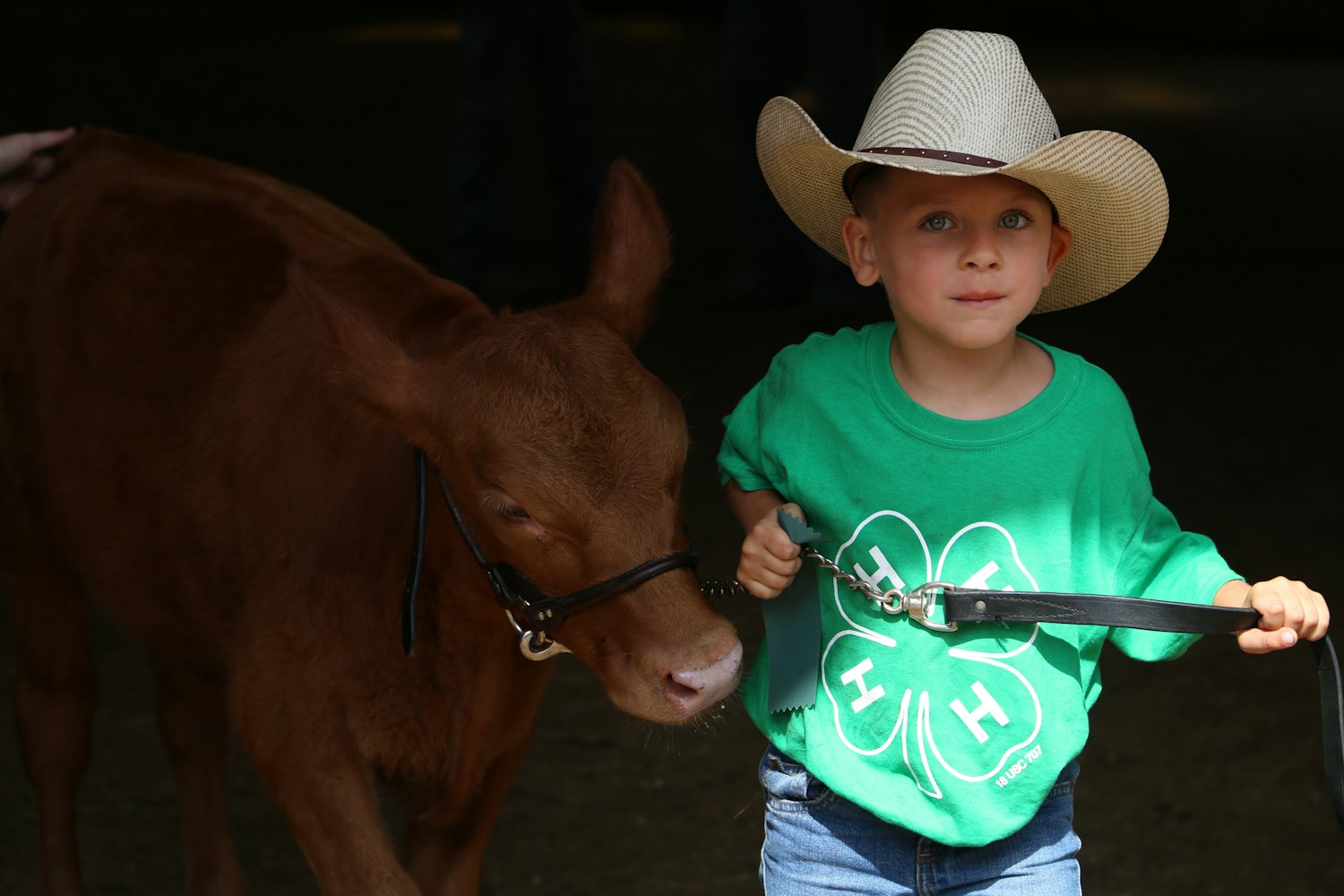 王宝强展现全新形象与实力的最新照片曝光