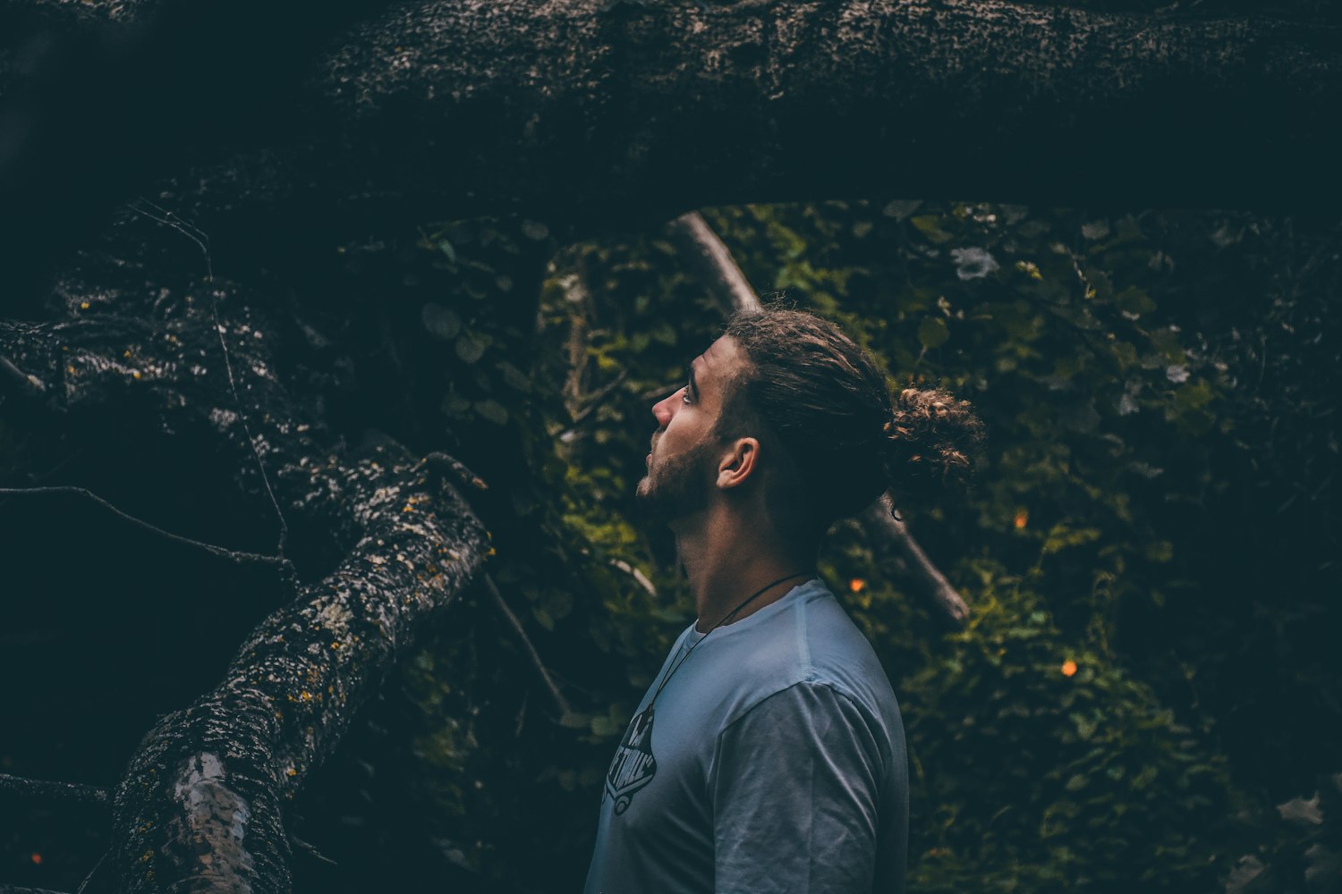 熊猫YY的最新动态与生活趣事