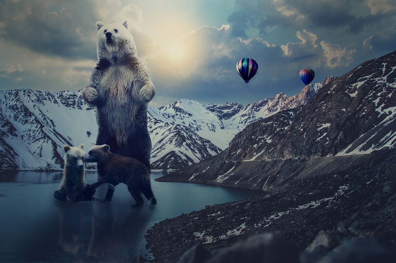 ACG动漫下载,探索与体验之旅