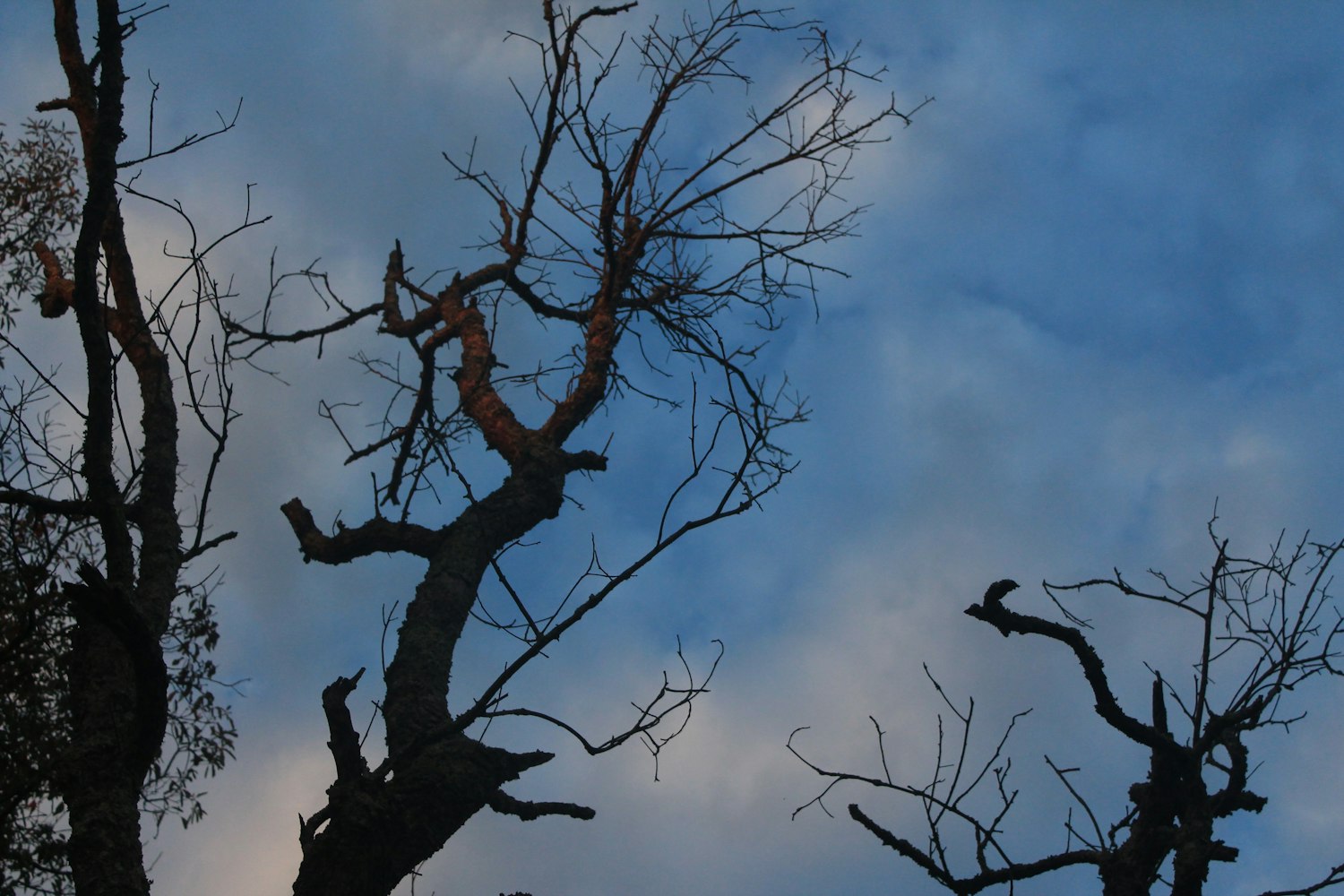 小清新三行情书图片,独特传递情感之美的艺术方式