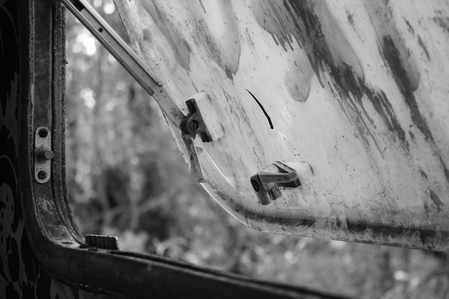 探索与解析2017年度最新丧尸电影