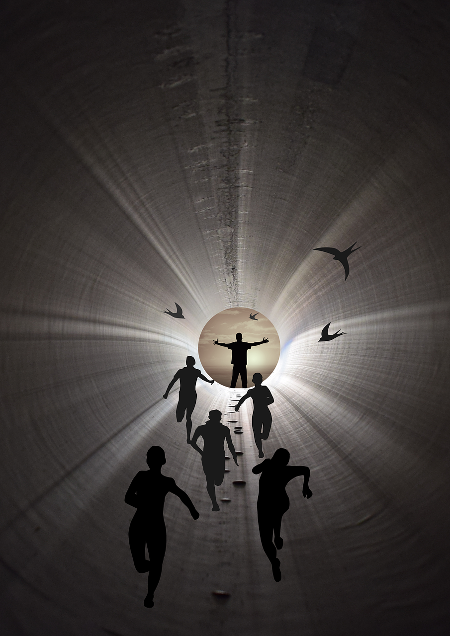 探索与解析2017年度最新丧尸电影