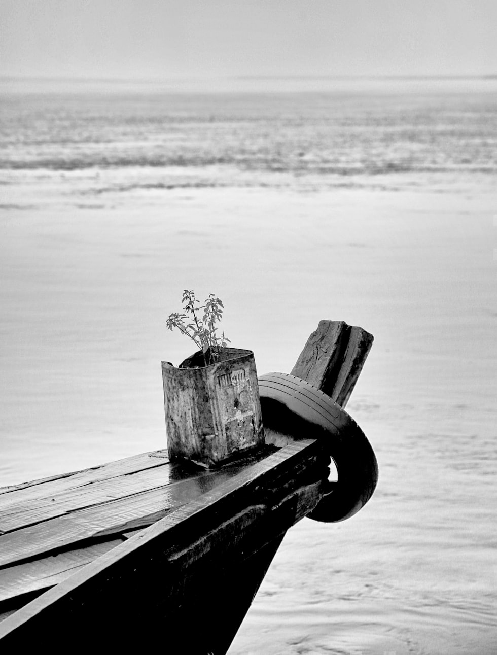 今年全球洪水动态，挑战与应对策略的最新进展