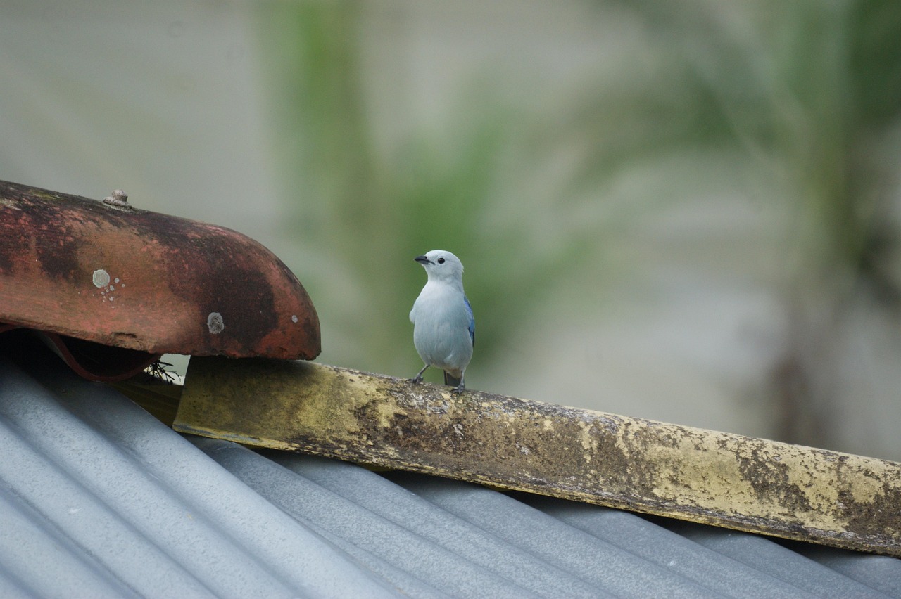 今日股票行情深度分析与实时动态查询