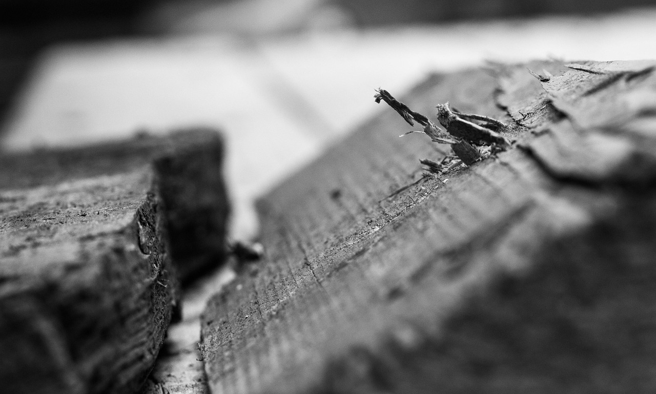 技术革新与警务工作的深度融合,警方最新动态更新报告