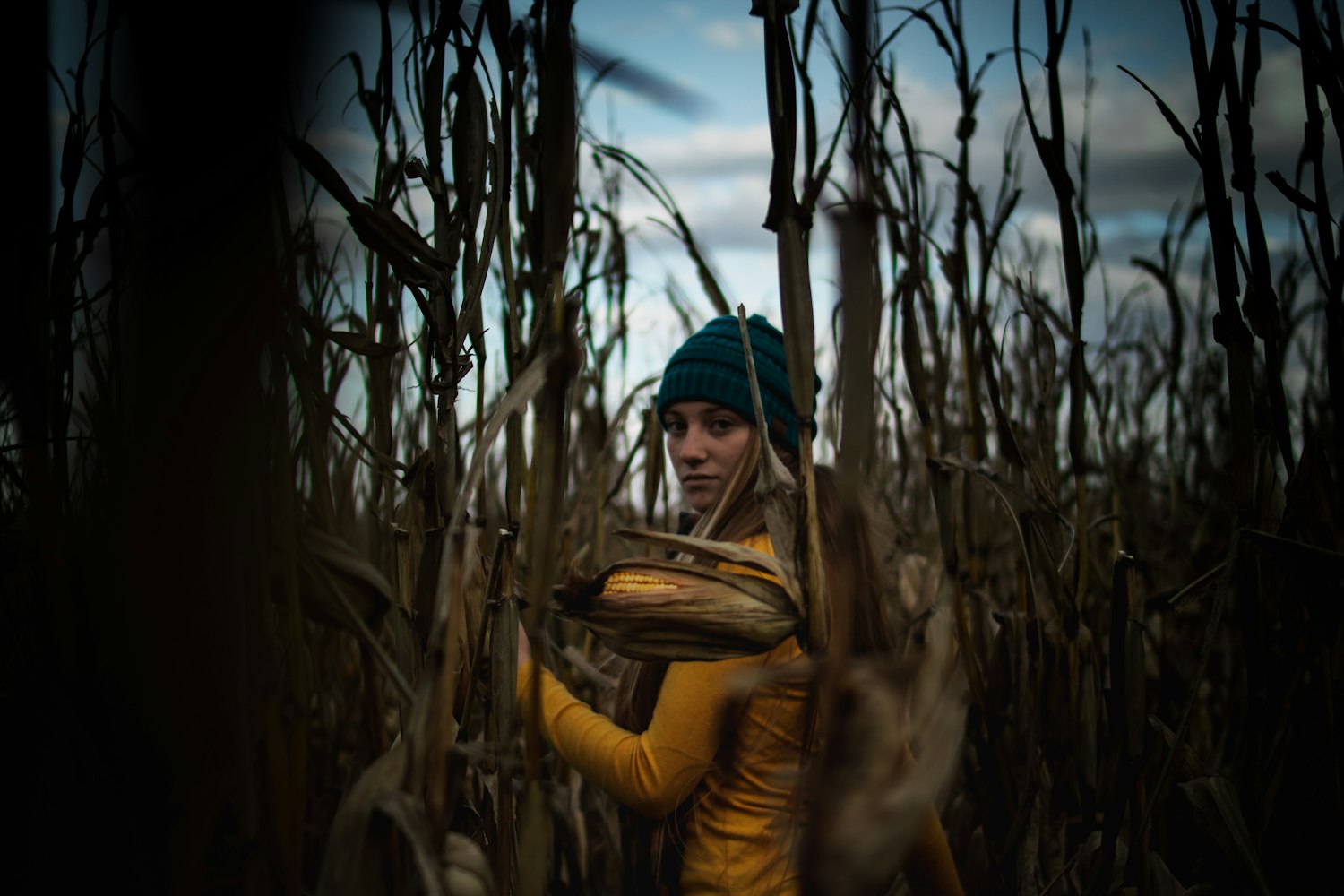 西班牙三级电影，探索成人影视的艺术魅力