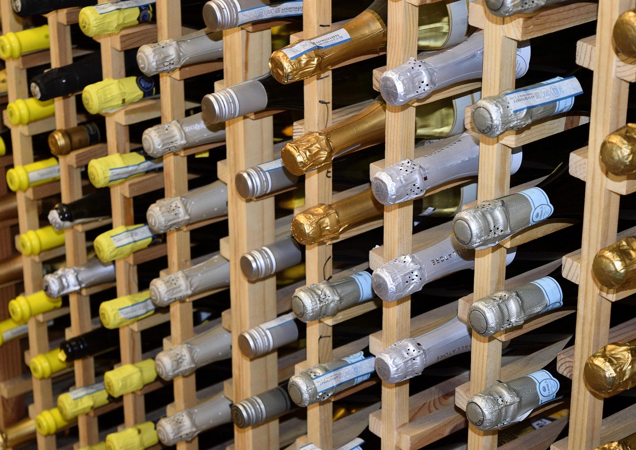 全球疫情实时直播,最新动态与应对策略解读