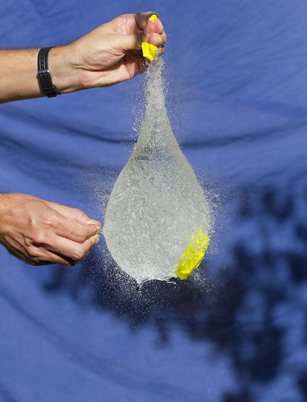 埃及入境政策最新动态，更新内容与影响分析