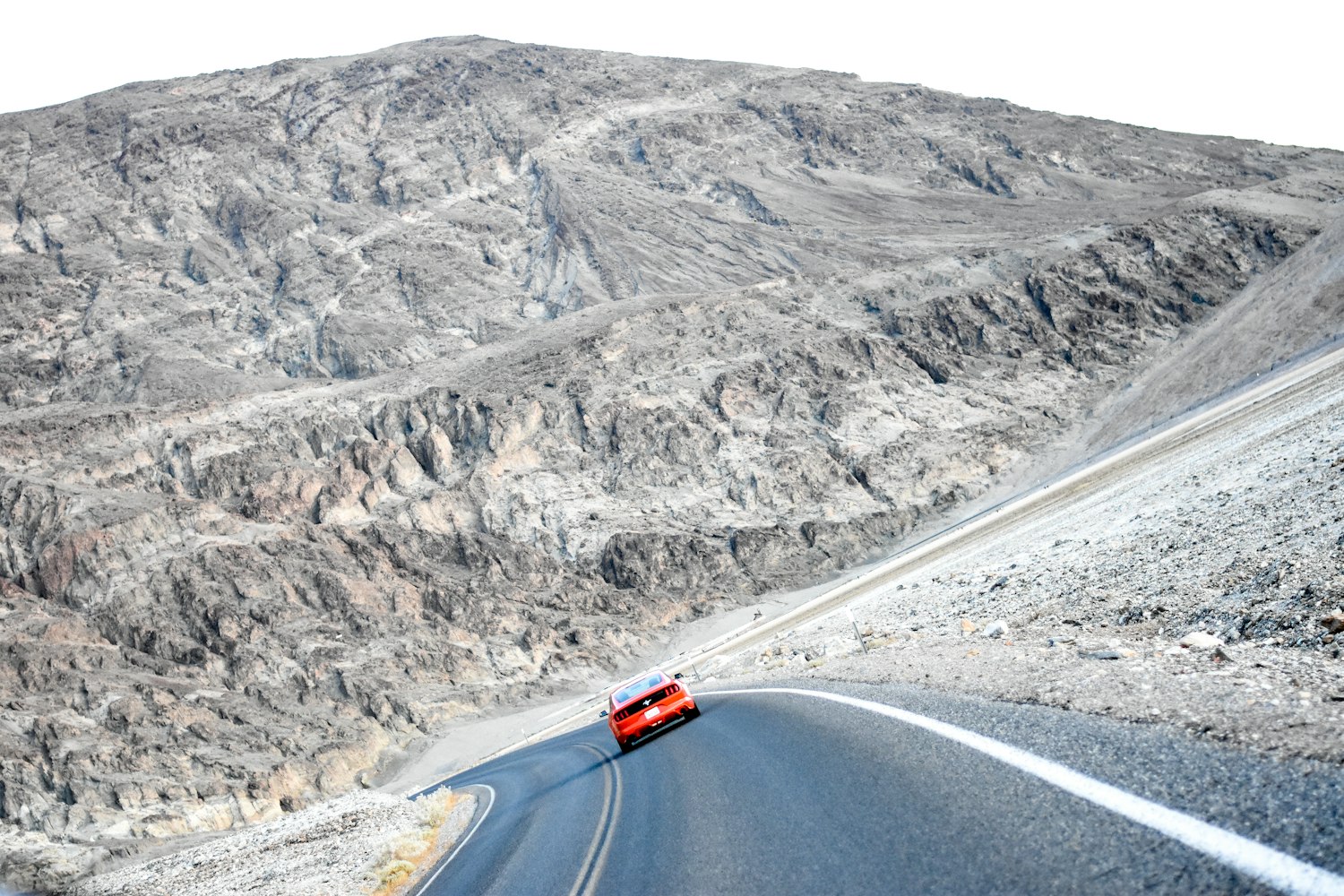 探索畜牧业发展新路径，养牛上市之路