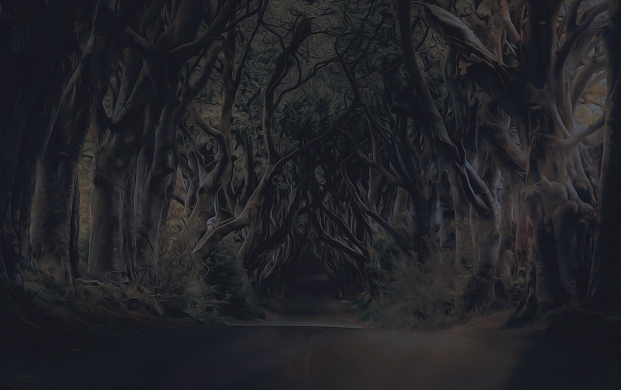 法医秦明新篇，探索未知，揭开真相的神秘面纱