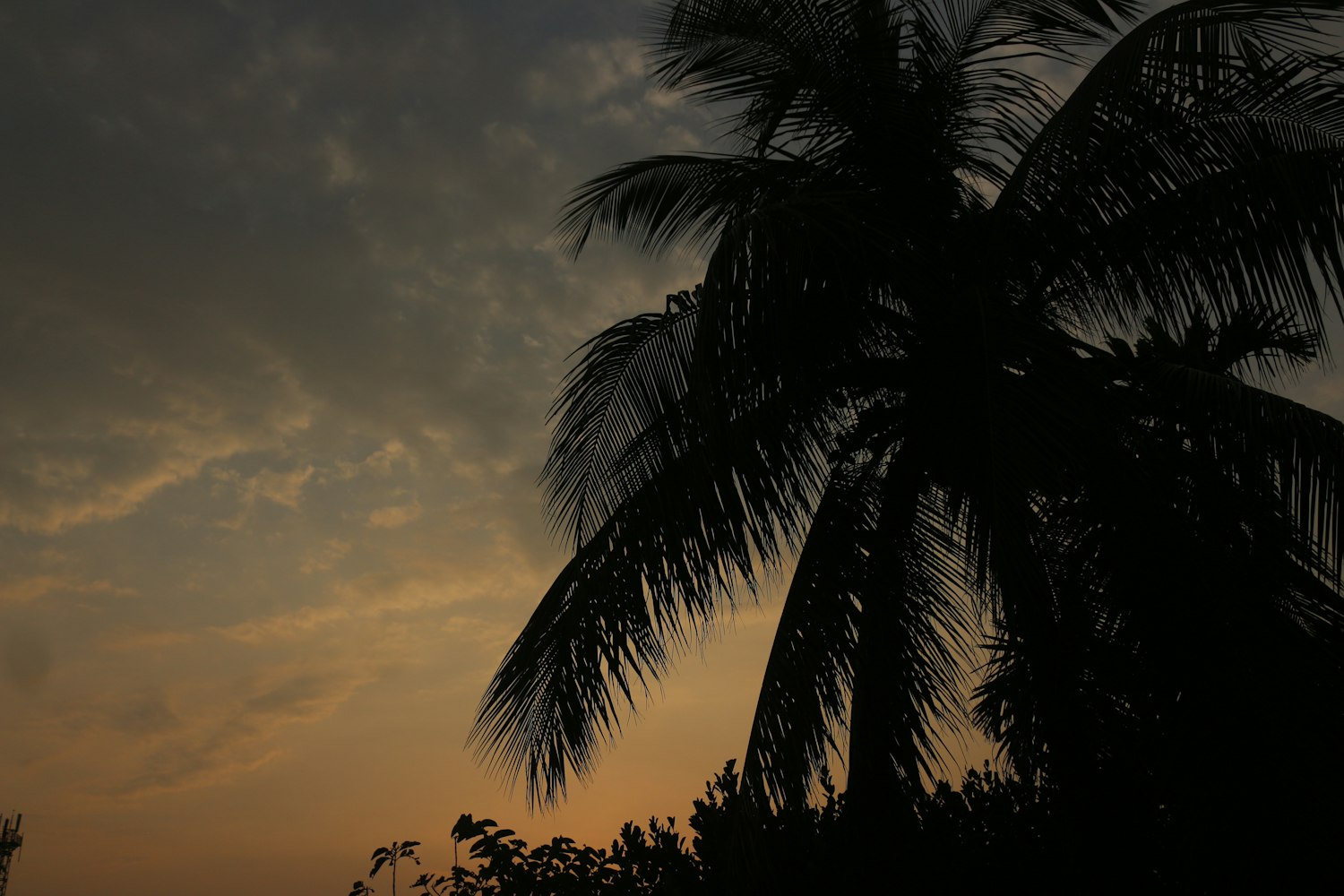 草榴最新内容探索与发现之旅