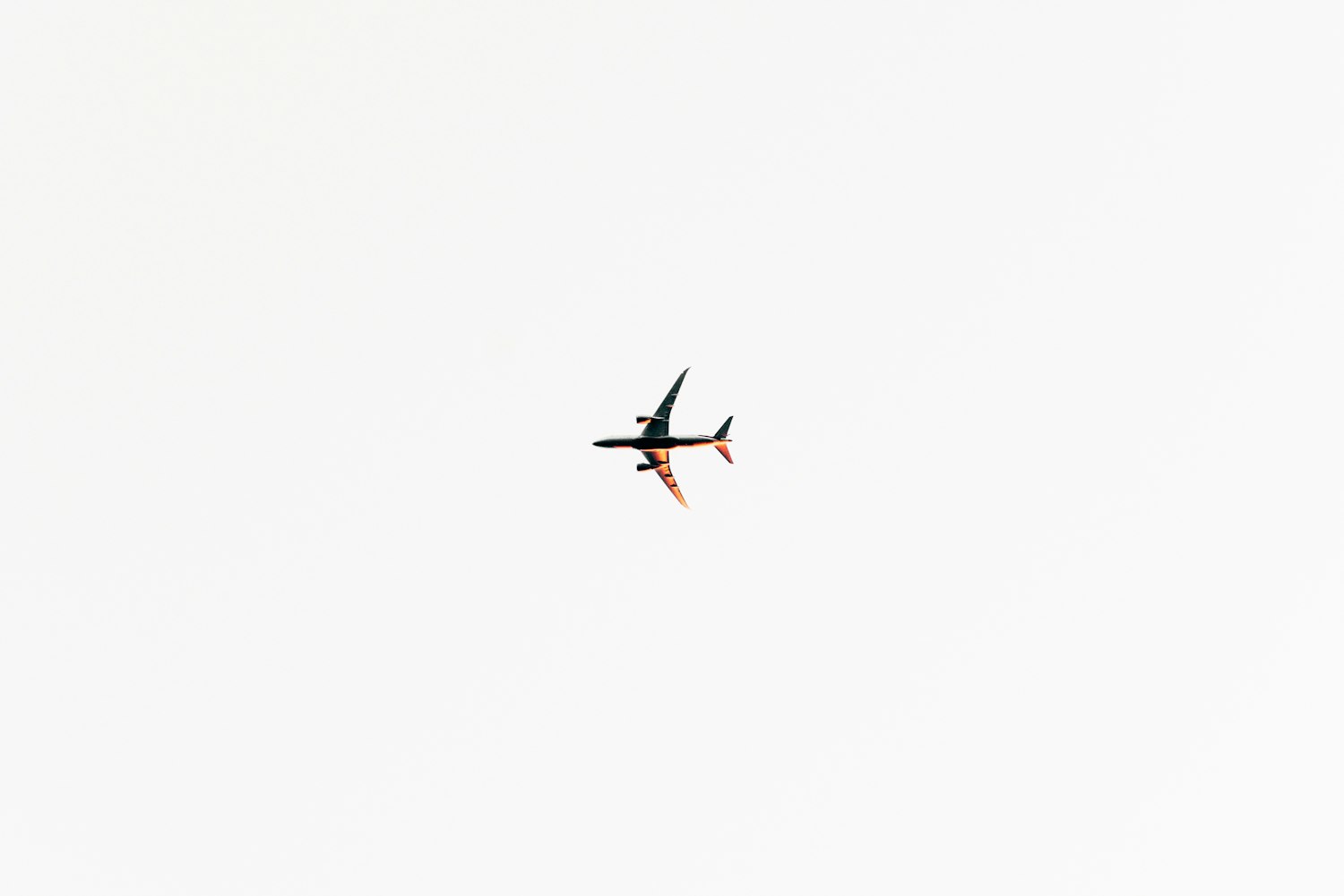 布小林最新资讯，聚焦人物动态与影响力