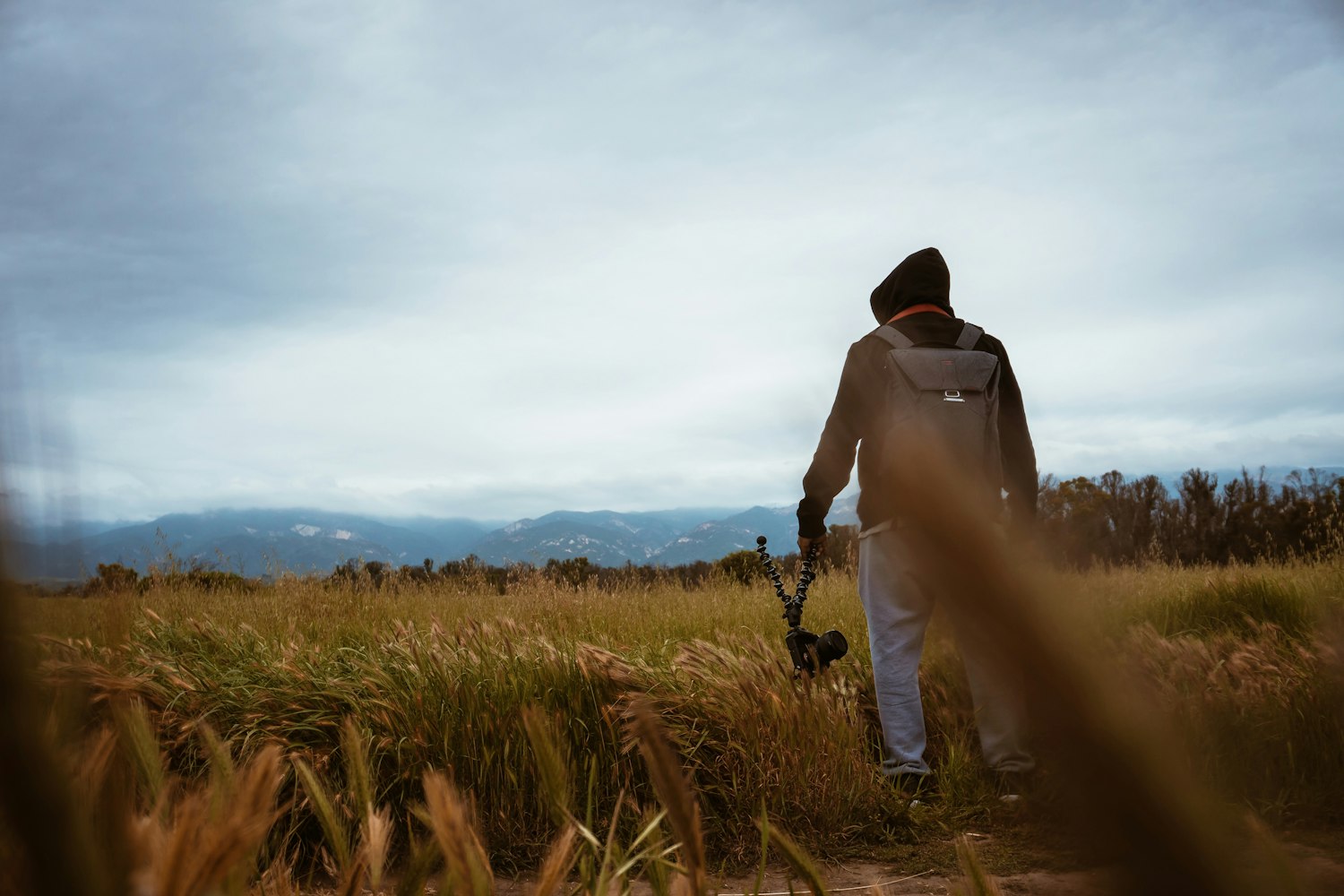 电影亲密关系，情感纠葛与人性深度探索之旅