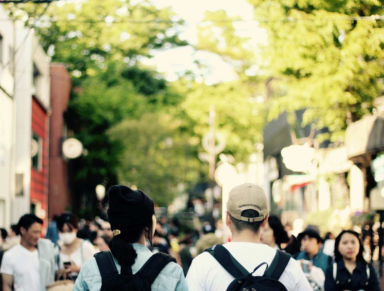 菲诚勿扰新动态揭秘，探索真实情感之旅