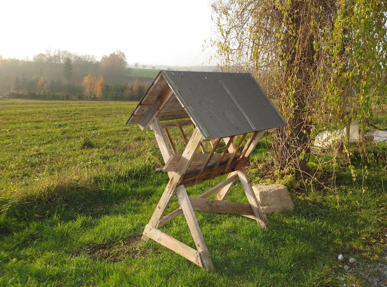 济南冶河村动态更新，乡村振兴的新篇章进展探秘