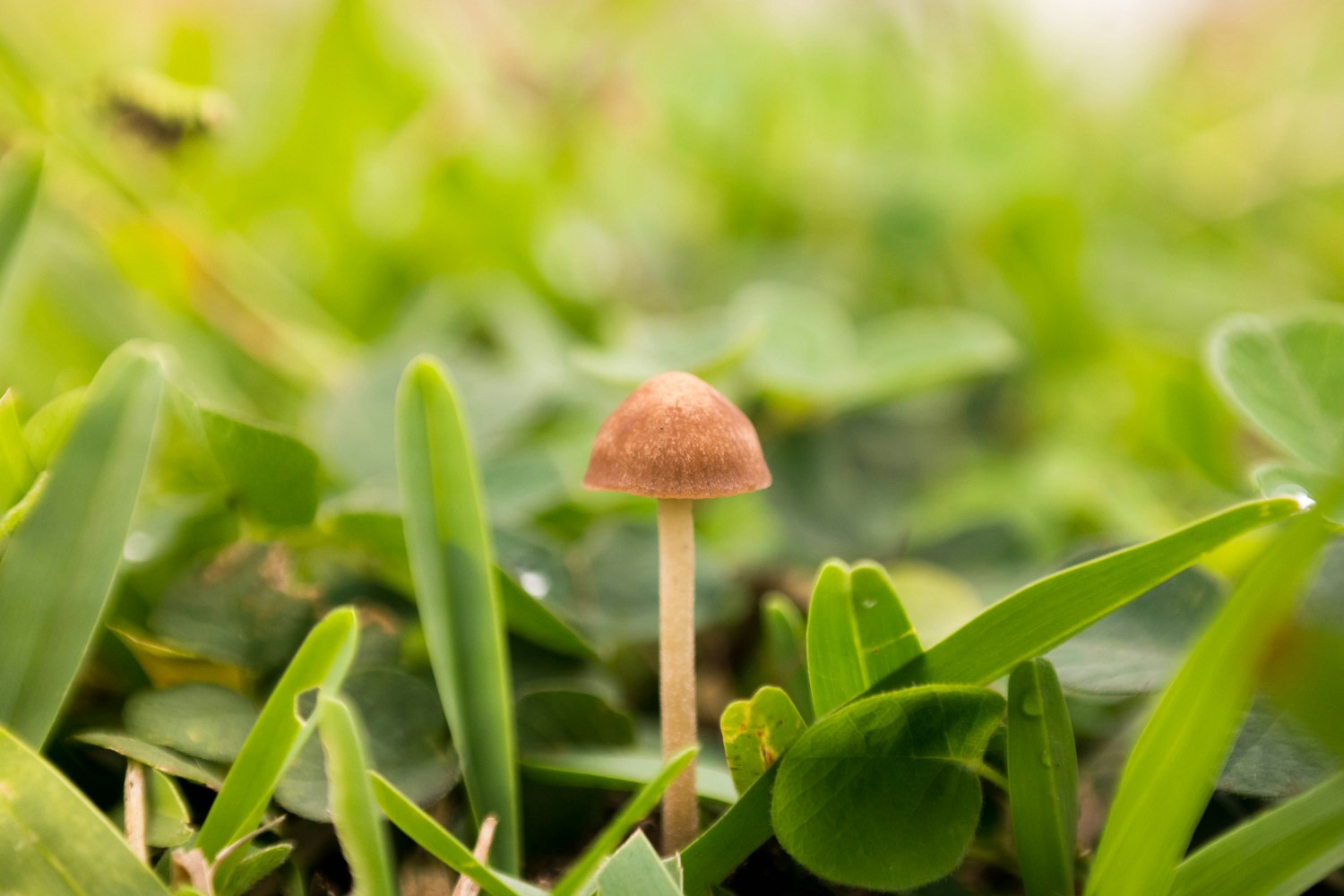 泽威防水优势 第19页