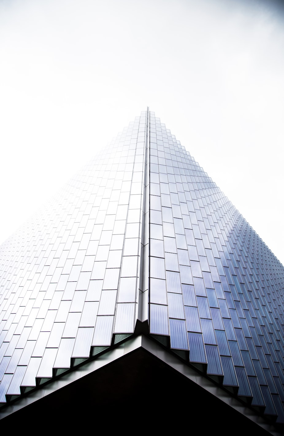 生猪今日价格分析与市场动态，行业趋势及影响因素深度解读