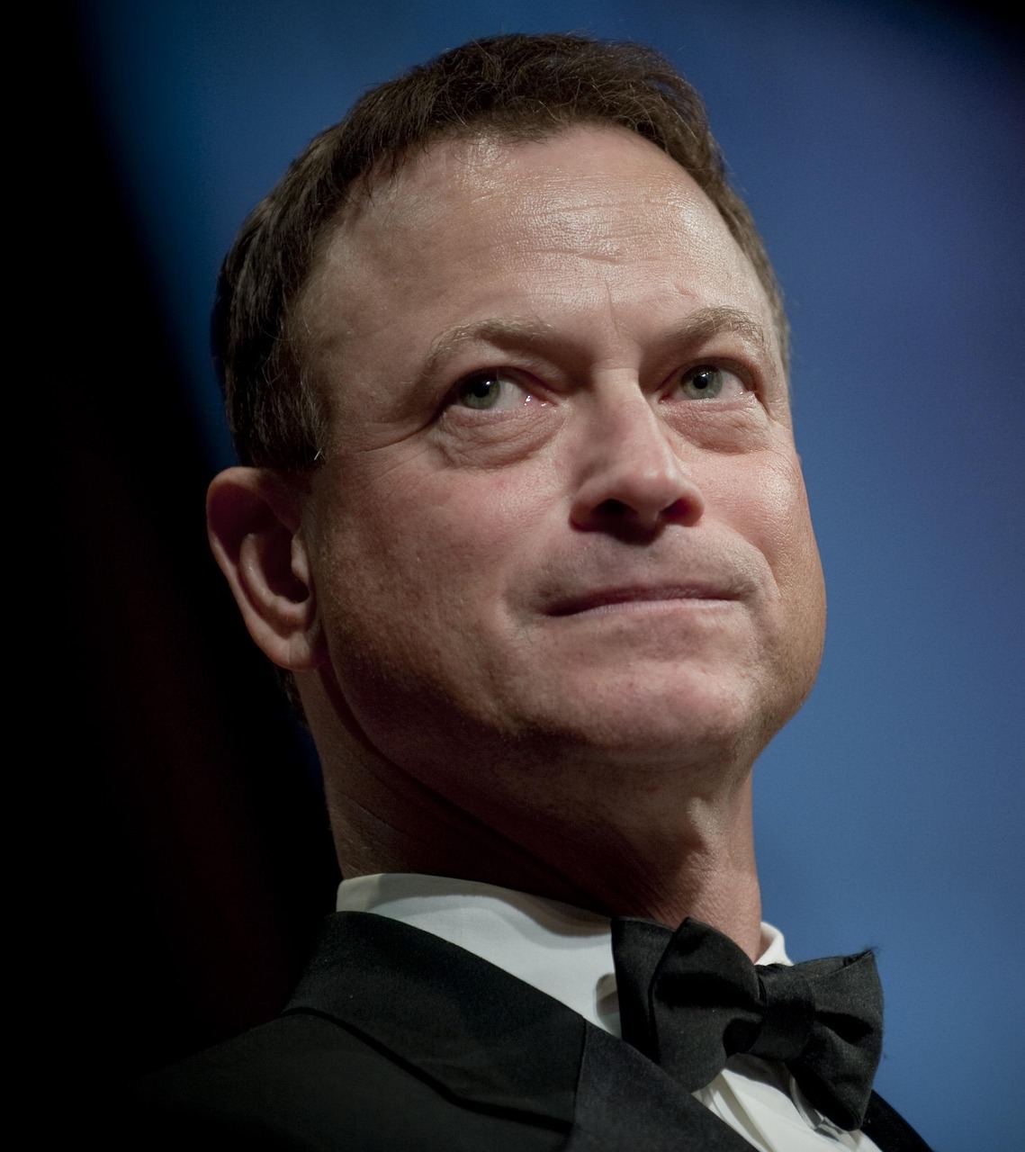 贺强演员，演艺之路的璀璨之星闪耀之旅